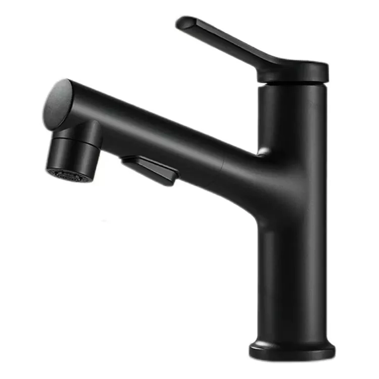 Pahu Pull-Out Faucet